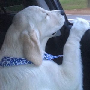 Meet your Posher, Andrew